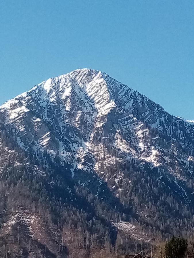 Ausseer Kleeblatt Bad Aussee Dış mekan fotoğraf
